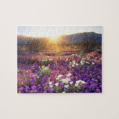 USA California Anza_Borrego Desert State Park 2 Jigsaw Puzzle