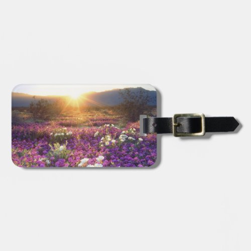 USA California Anza_Borrego Desert State Park 2 Luggage Tag