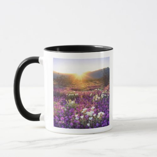 USA California Anza_Borrego Desert State Park 2 Mug