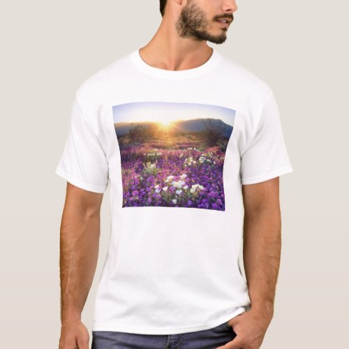 USA California Anza_Borrego Desert State Park 2 T_Shirt