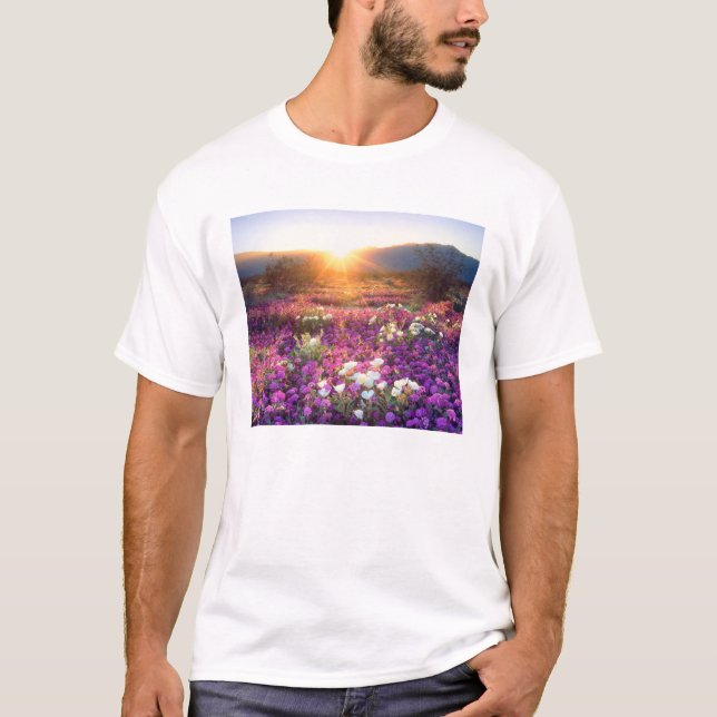 USA, California, Anza-Borrego Desert State Park. 2 T-Shirt (Front)