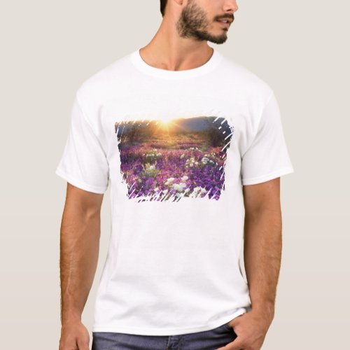 USA California Anza_Borrego Desert State Park 2 T_Shirt