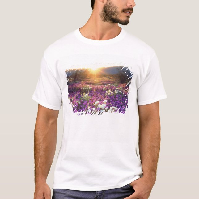 USA, California, Anza-Borrego Desert State Park. 2 T-Shirt (Front)