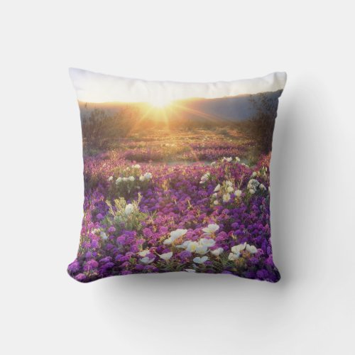 USA California Anza_Borrego Desert State Park 2 Throw Pillow