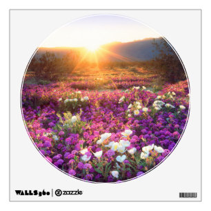 USA, California, Anza-Borrego Desert State Park. 2 Wall Decal
