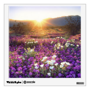 USA, California, Anza-Borrego Desert State Park. 2 Wall Sticker