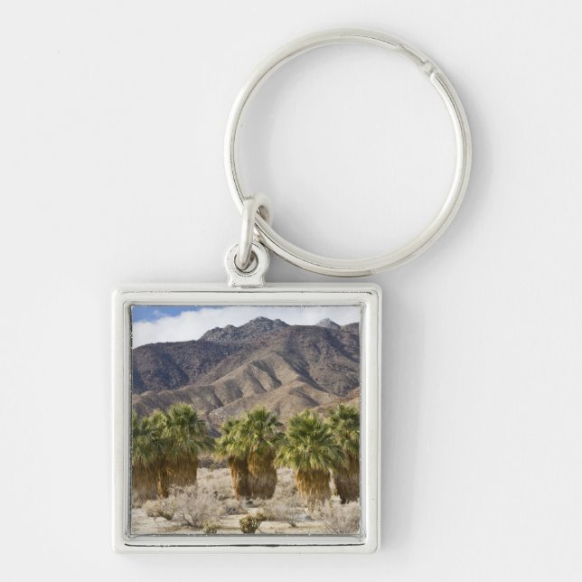 USA, California, Anza-Borrego Desert State Park. Keychain (Front)