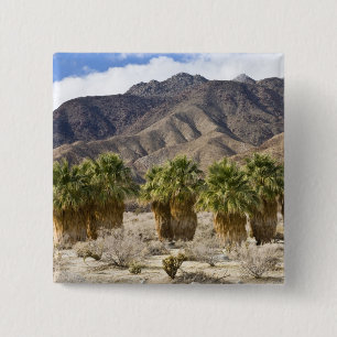 USA, California, Anza-Borrego Desert State Park. Pinback Button