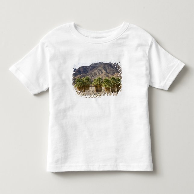 USA, California, Anza-Borrego Desert State Park. Toddler T-shirt (Front)