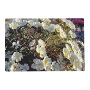 USA, California, Anza-Borrego DSP. Dune evening 2 Placemat