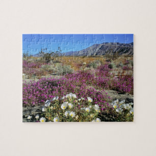 USA, California, Anza-Borrego DSP. Dune evening Jigsaw Puzzle