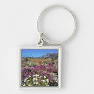 USA, California, Anza-Borrego DSP. Dune evening Keychain