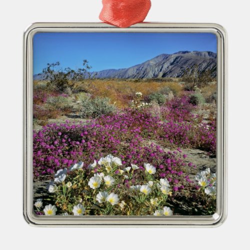 USA California Anza_Borrego DSP Dune evening Metal Ornament