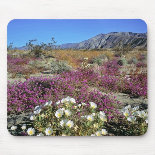 USA California Anza_Borrego DSP Dune evening Mouse Pad