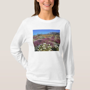 USA, California, Anza-Borrego DSP. Dune evening T-Shirt