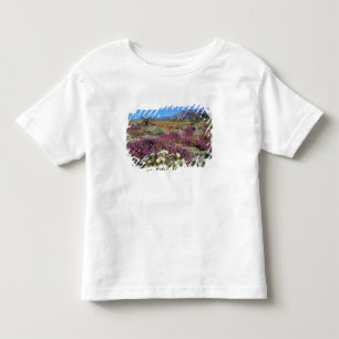 USA, California, Anza-Borrego DSP. Dune evening Toddler T-shirt