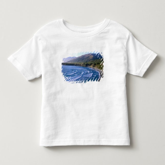 USA, California, Big Sur, bay along Highway 1. Toddler T-shirt (Front)