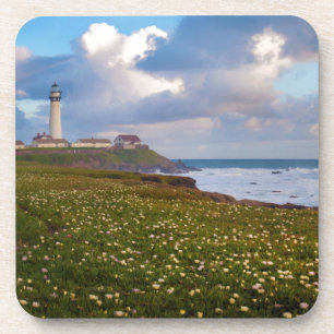 USA, California. Big Sur Panorama 2 Coaster