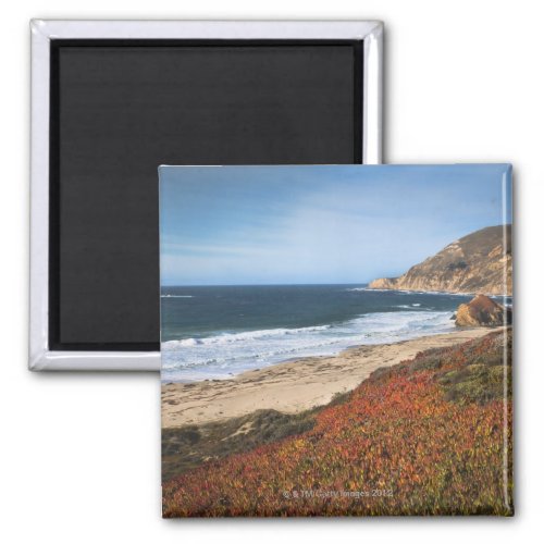 USA California Big Sur Red plants by beach Magnet