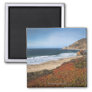 USA, California, Big Sur, Red plants by beach Magnet