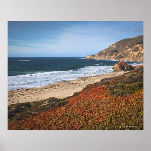 USA California Big Sur Red plants by beach Poster
