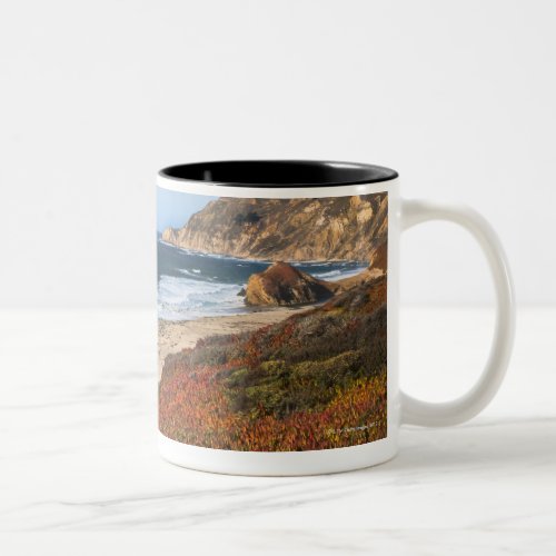 USA California Big Sur Red plants by beach Two_Tone Coffee Mug