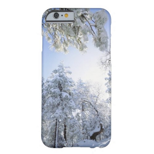 USA California Cleveland National Forest Barely There iPhone 6 Case