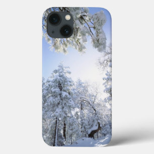 USA, California, Cleveland National Forest, iPhone 13 Case