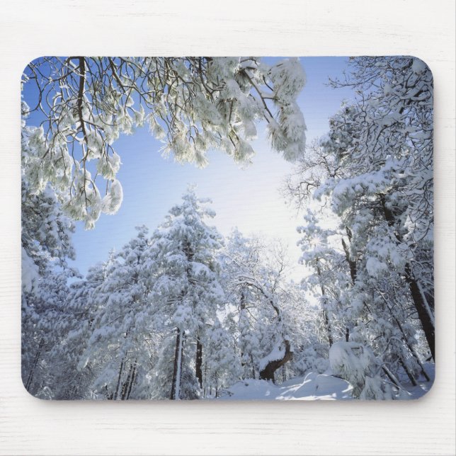 USA, California, Cleveland National Forest, Mouse Pad (Front)