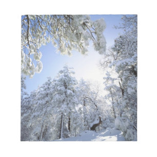 USA, California, Cleveland National Forest, Notepad