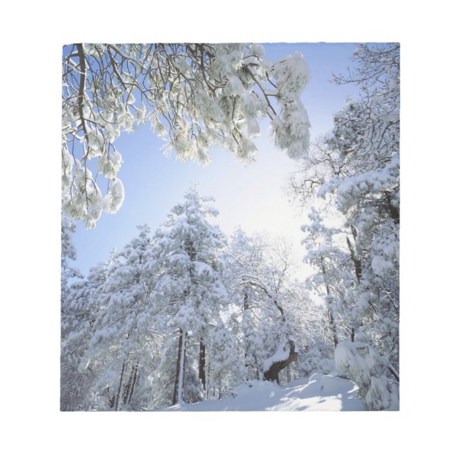 USA, California, Cleveland National Forest, Notepad (Front)