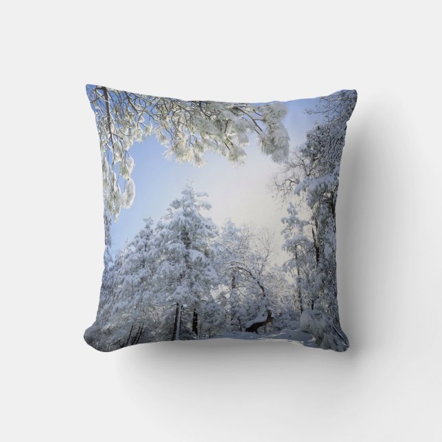 USA, California, Cleveland National Forest, Throw Pillow (Front)