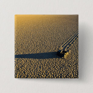 USA, California, Death Valley National Park. 2 Button