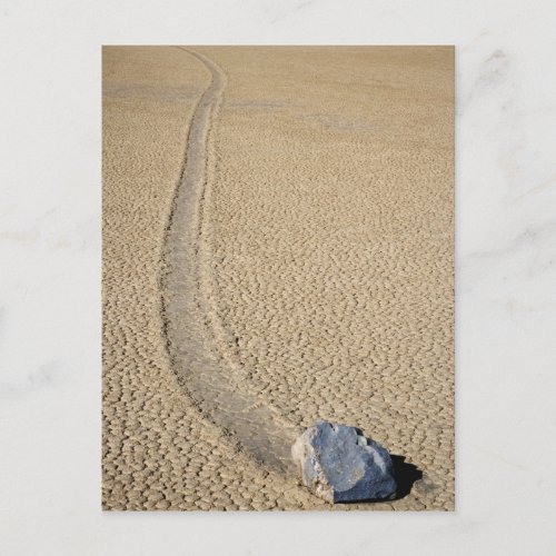USA California Death Valley National Park Postcard