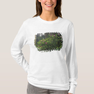 USA, California, Del Norte, Redwoods St. Park, T-Shirt