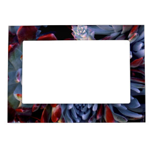 USA, California, Garrapata State Park Magnetic Frame