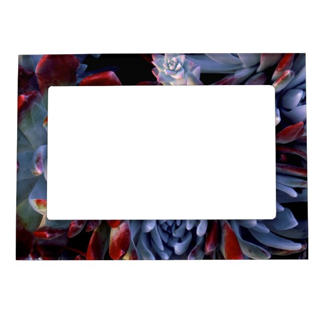 USA, California, Garrapata State Park Magnetic Frame (Front)