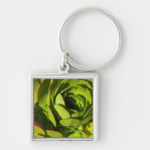 USA, California. Giant Lobelia Plant Close Up Keychain