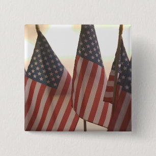 USA, California, Gold Country, Amador City: Button