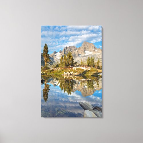 USA California Inyo National Forest 13 Canvas Print