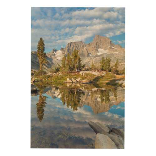 USA California Inyo National Forest 13 Wood Wall Decor