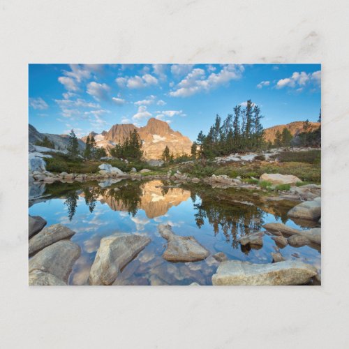 USA California Inyo National Forest 2 Postcard