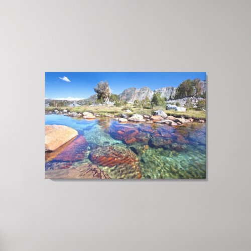 USA California Inyo National Forest 4 Canvas Print