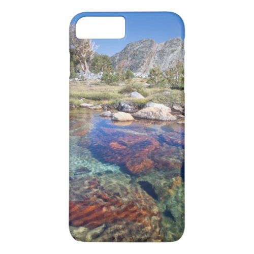 USA California Inyo National Forest 4 iPhone 8 Plus7 Plus Case