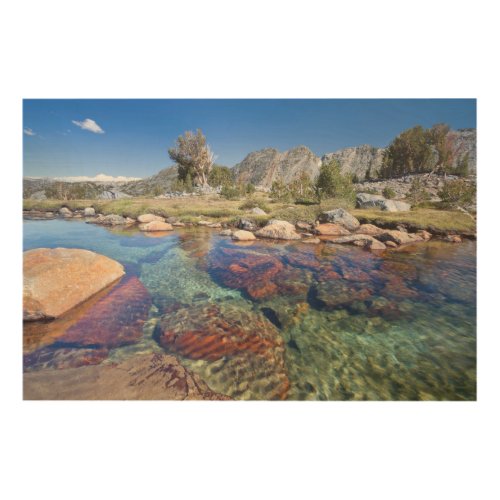 USA California Inyo National Forest 4 Wood Wall Decor