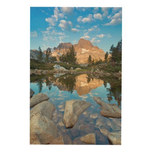 USA California Inyo National Forest 5 Wood Wall Decor