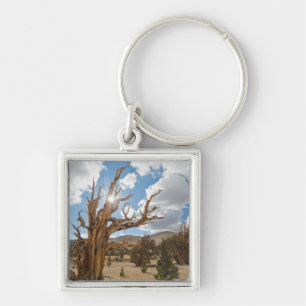 USA, California, Inyo National Forest 6 Keychain