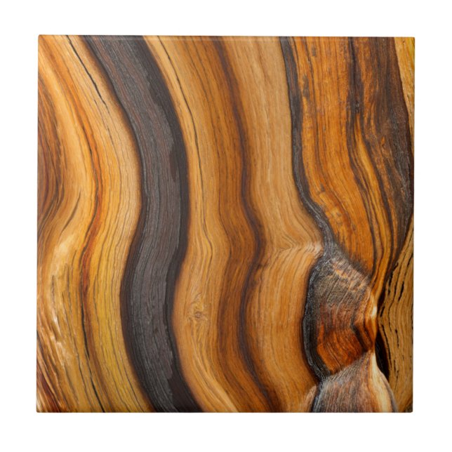 USA, California, Inyo National Forest 7 Ceramic Tile (Front)