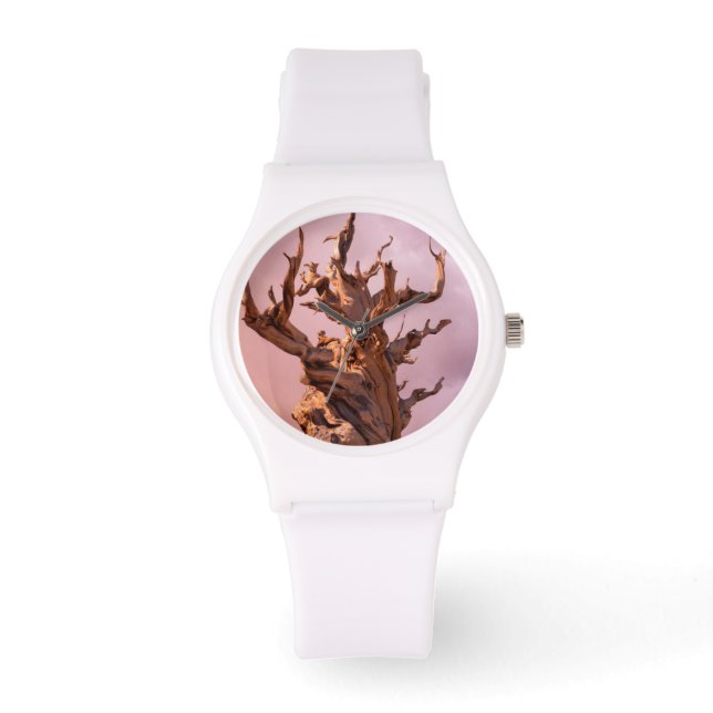 USA, California, Inyo National Forest 9 Watch (Front)
