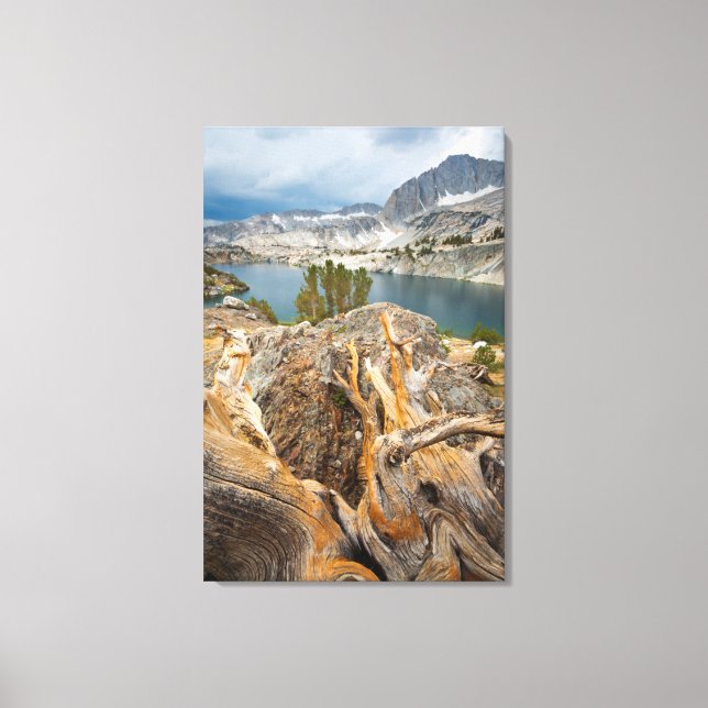 USA, California, Inyo National Forest. Canvas Print (Front)